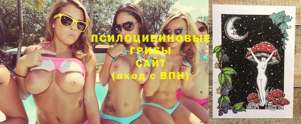 дмт Армянск