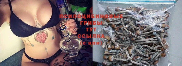 дмт Армянск
